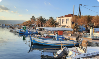 Kalloni salt lagoon with flamingos, Lesvos